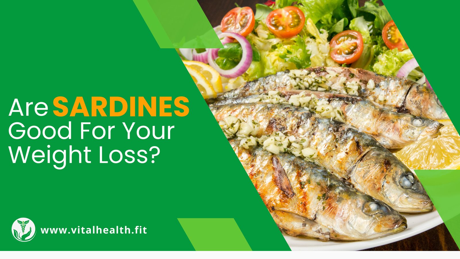 Read more about the article [2023 Update] Are Sardines Good for Your Weight Loss ?